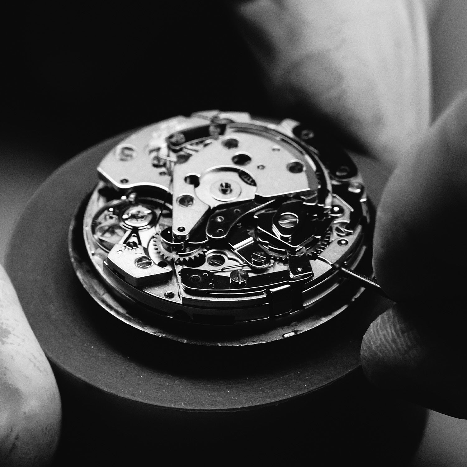 ©2026 Philippe Charriol International Ltd.